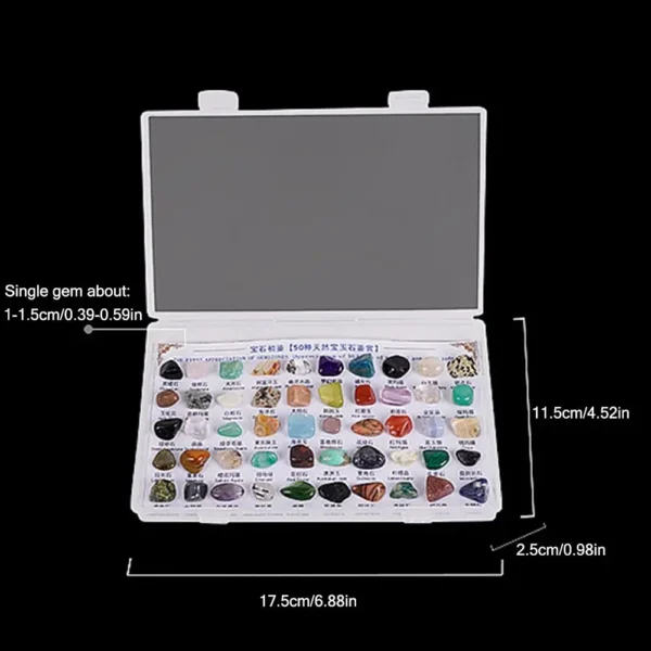 50PCS Mineral Specimens Box – Natural Gems & Jades for Teaching & Healing