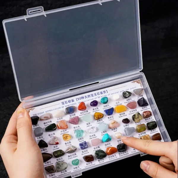 50PCS Mineral Specimens Box – Natural Gems & Jades for Teaching & Healing