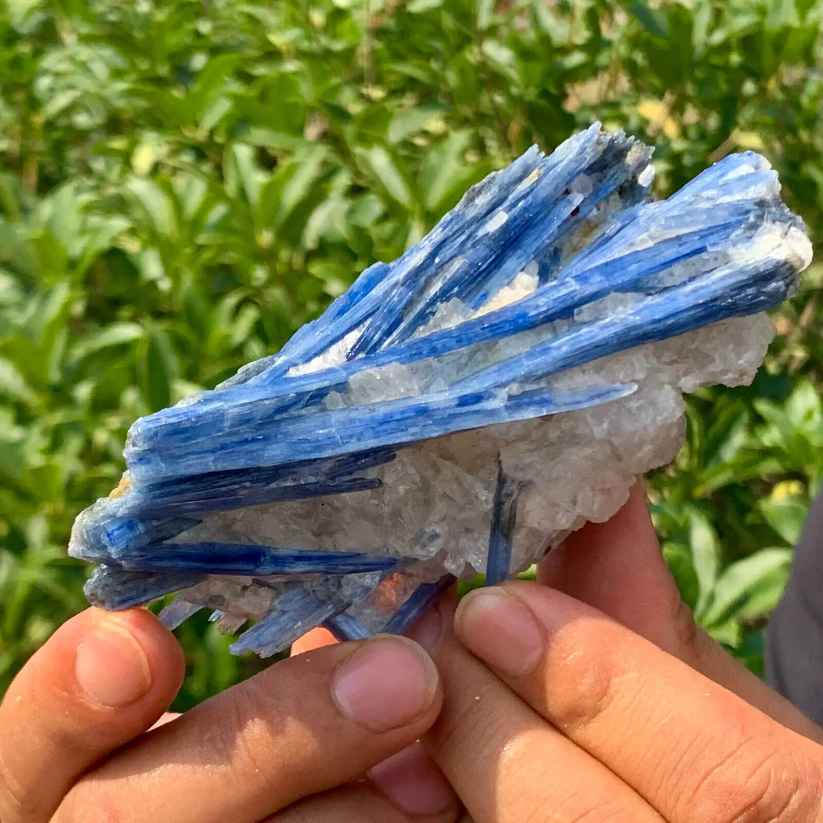 Natural Kyanite Rough Stones – Reiki Healing Crystals & Spiritual Gifts